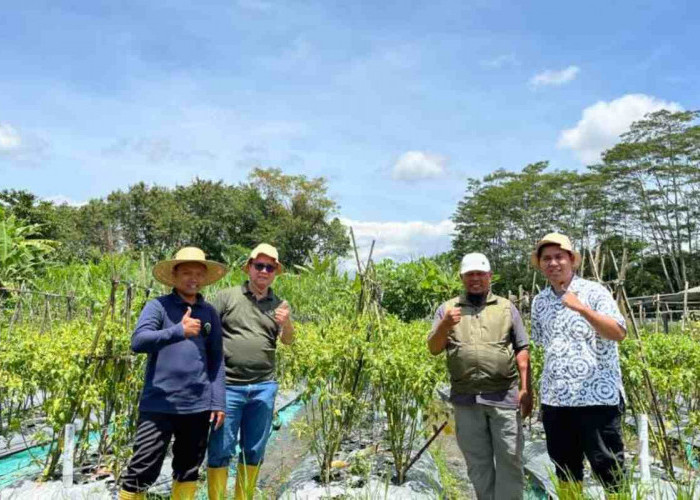 Mahasiswa BINUS @Bandung Bangun Bisnis Pertanian, Jangkau 59 Mitra di 9 Kota