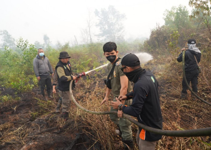 36 Titik Panas Terdeteksi di Kalbar, Ketapang Masih Mendominasi