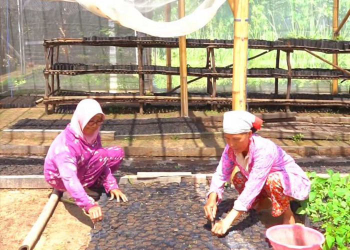 Cara Memilih Besi Siku Tebal yang Kuat untuk Struktur Penopang Beban Berat