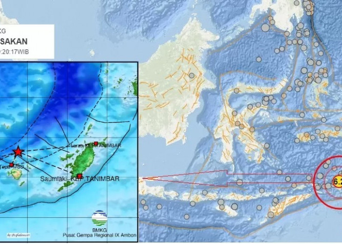 Gempa M 6,2 Guncang Tanimbar, Kerusakan Dilaporkan Terjadi di Beberapa Wilayah