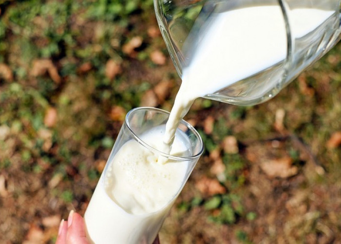 Bahaya Tersembunyi, Dampak Kesehatan dari Kebiasaan Mengonsumsi Susu Kental Manis