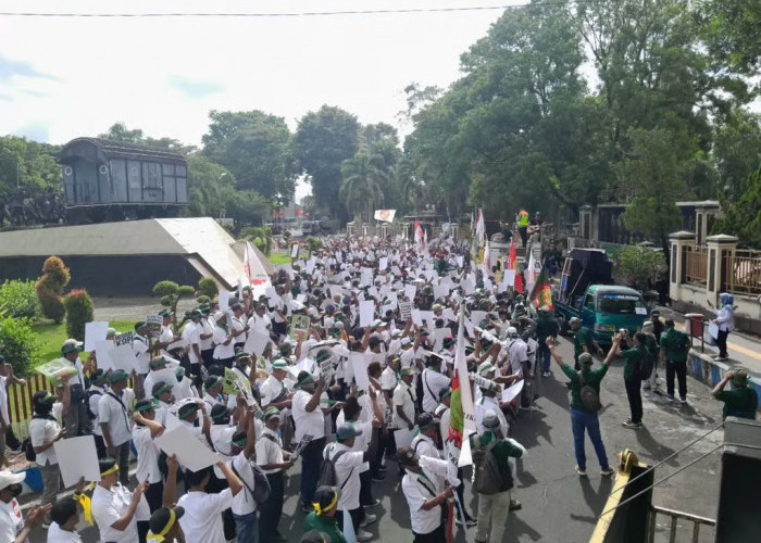 Holding Perkebunan Nusantara Kawal Penyelesaian Konflik Ijen demi Aset Negara dan Keselamatan Pekerja