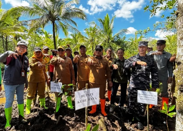 Restorasi Mangrove Batu Ampar, Pemkab Kubu Raya Siapkan Dukungan untuk Warga