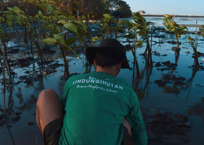 Donasi Mikro Kini Jadi Solusi Pemulihan Ekosistem di Program LindungiHutan