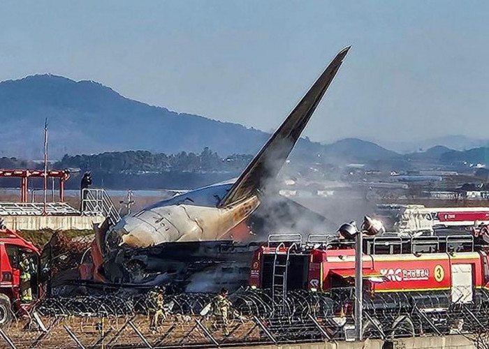 Diduga Tabrakan Burung dan Cuaca Ekstrim, Kecelakaan Tragis Pesawat Jeju Air Memakan 179 Korban