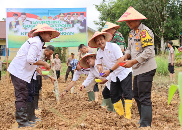 Polres Melawi Tanam Jagung di Pekarangan: Langkah Nyata Dukung Ketahanan Pangan Nasional