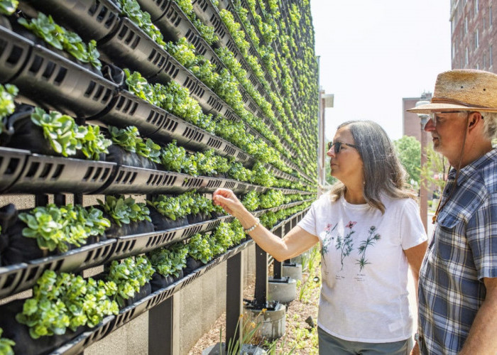 Berkebun di Era Modern, Inovasi Terkini yang Memudahkan Hobi Berkebun Anda