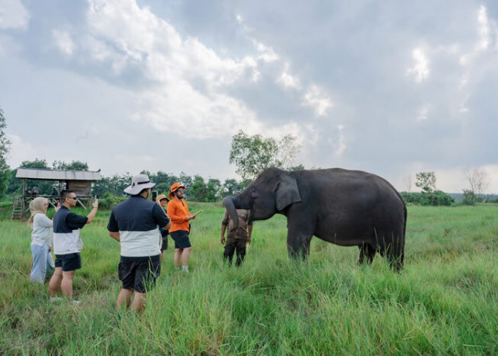 LindungiHutan dan Taman Nasional Way Kambas Tingkatkan Konservasi dan Pemberdayaan Masyarakat