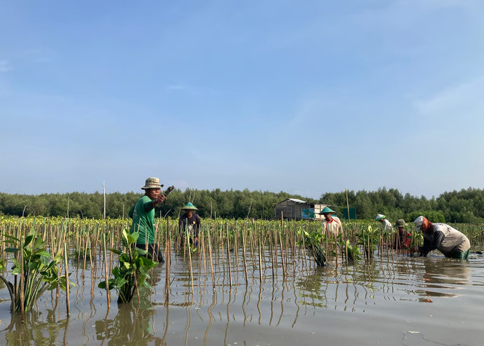 LindungiHutan Ajak Publik Rayakan Hari Menanam Pohon Indonesia dengan Aksi Nyata di Tengah Krisis Iklim