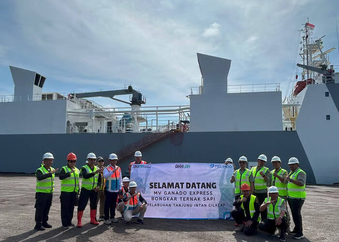 Pelindo Multi Terminal Tanjung Intan Layani Bongkar Muat 1.213 Ekor Sapi Perah Impor