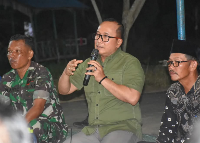 Jalan Bakti di Rasau Jaya Kini Mulus, Bupati Kubu ijo Raya Tambah Lampu dan Tanaman Hias
