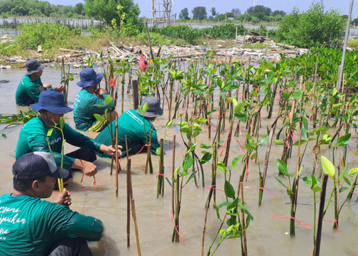 LindungiHutan: Platform Kolaborasi untuk Perusahaan Melakukan Penghijauan dan Mitigasi Perubahan Iklim