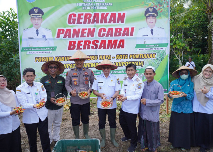 TPID KUPONWAH Gelar Panen Cabai Serentak, Pontianak Catat Inflasi Terendah di Kalbar