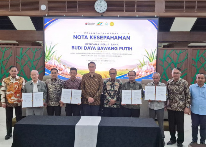 PTPN Group Akselerasi Swasembada Bawang Putih Nasional