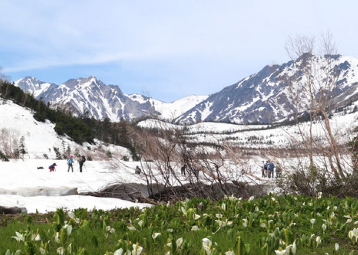 Desa Otari di Nagano “Taman Alam Tsugaike” Dibuka pada 7 Juni 