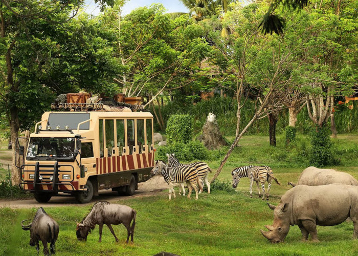 Taman Safari Dukung Transformasi Modern Kebun Binatang Bandung