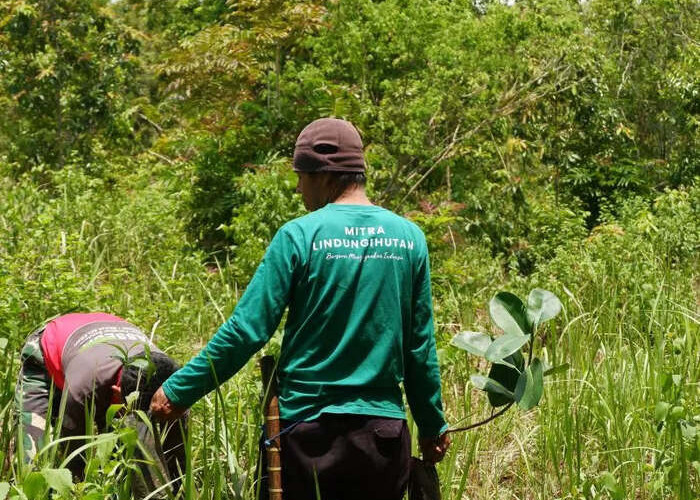 LindungiHutan Dorong Perusahaan Perluas Dampak CSR hingga Tingkat Ekosistem
