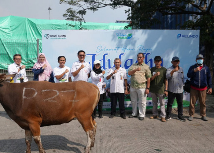 Sambut Idul Adha 1446 H, Pelindo Solusi Logistik Salurkan Hewan Kurban ke Berbagai Wilayah Indonesia