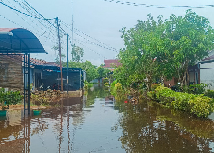 Banjir Rob Terjang Kelurahan Tengah Mempawah, Genangan Air Masuk Rumah Warga