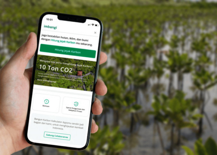 LindungiHutan Rilis Tampilan Baru Web Mobile: Menjawab Tren Digitalisasi Keberlanjutan