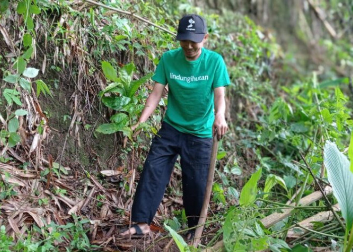 Tiga Lokasi Penanaman Paling Mendesak Tahun Ini: Wonogiri, Cilacap, Mempawah
