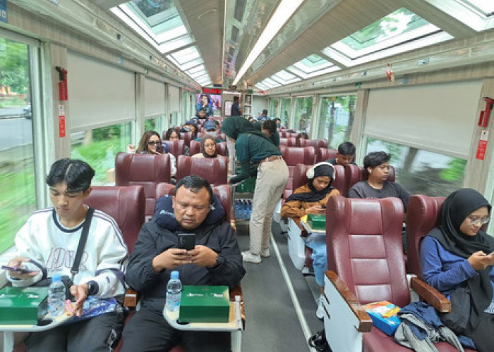Pengalaman Berkesan Menikmati Keindahan Alam Indonesia Melalui Jendela Kereta Panoramic