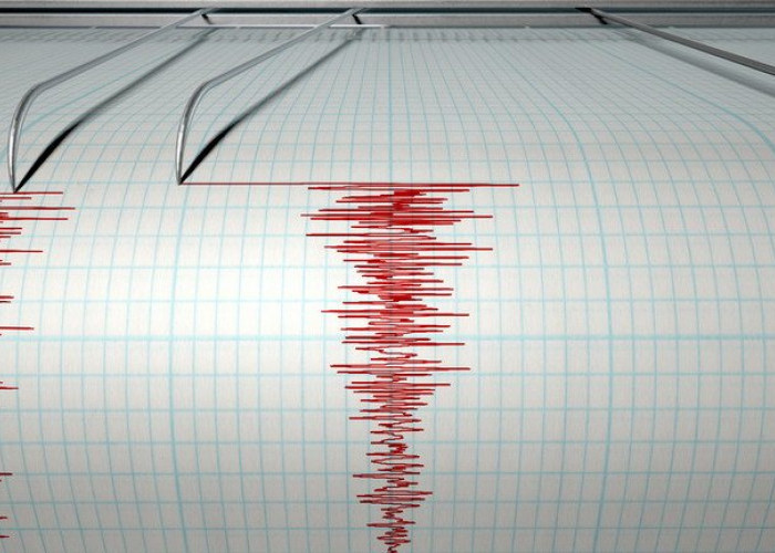 Gempa Magnitudo 4,3 Mengguncang Barito Timur, Berikut Imbauan BMKG!