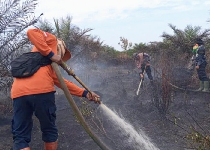 Tim Gabungan Satgas Karhutla, Padamkan Titik Api di Desa Pasir Mempawah