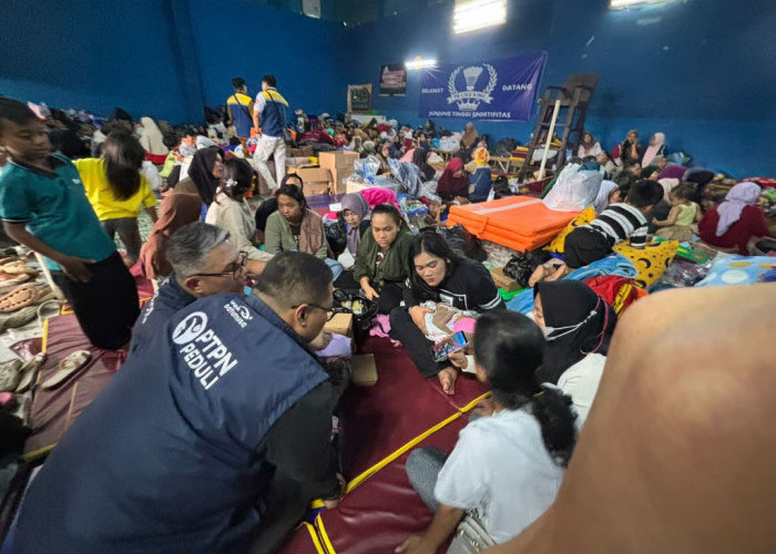 Holding Perkebunan Nusantara via PTPN I Regional 2 Restorasi 14.000 Ha Pascabencana Pasirlangu