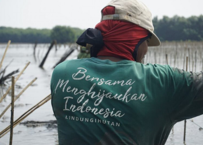 Peringati International Plastic Bag Free Day, LindungiHutan Gaungkan Kolaborasi Hijau