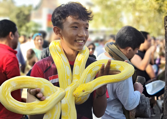 Independent Exotic Pets Bawa Misi Cinta Satwa di Tengah Keramaian CFD Pontianak