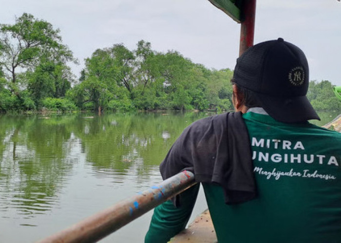 Surabaya hingga Semarang: Kota Pesisir yang Bangkit Lewat Hutan Mangrove