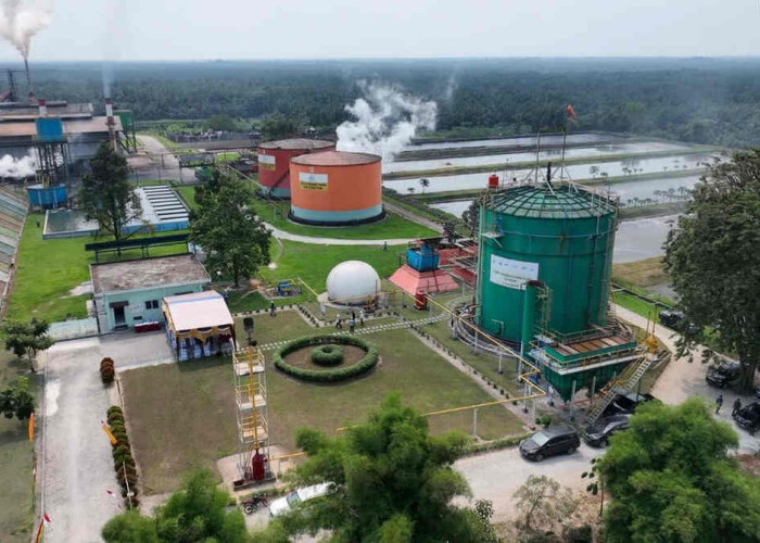 ROA PalmCo Tembus 7,9 Persen, Sinyal Penguatan Kinerja Aset Holding Perkebunan Nusantara