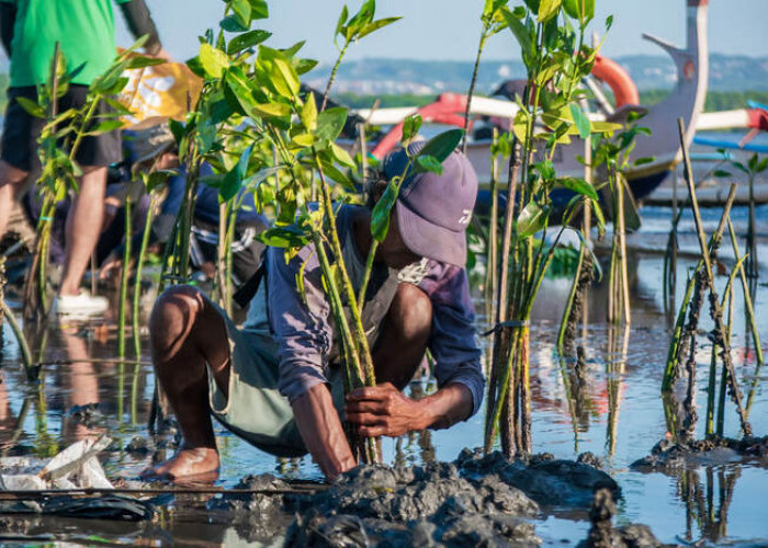 Hari Lingkungan Hidup 2025, Saat Aksi Kolektif Jadi Kunci Pulihkan Alam
