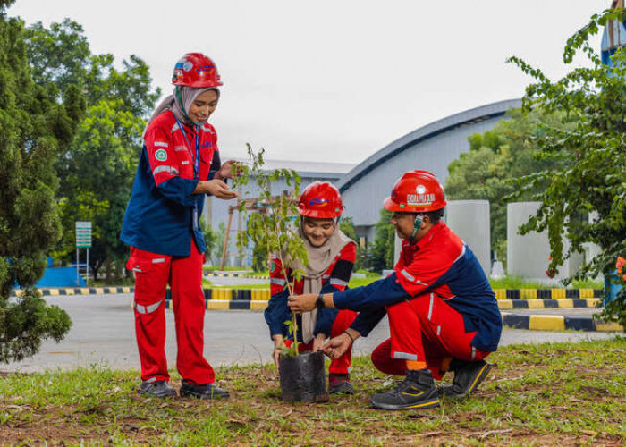 WSBP Kembali Tanam 376 Pohon Trembesi pada Bulan Juni 2025 sebagai Bagian dari Program Keberlanjutan Jangka Pa