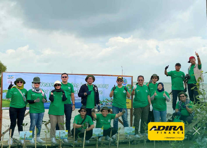Adira Finance Tanam 350 Mangrove di Dusun Tangkolak Karawang