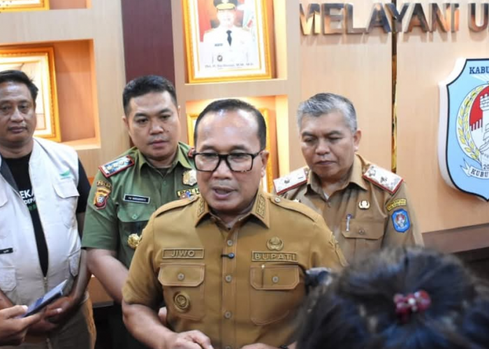 Pemkab Kubu Raya Hentikan Pembakaran Arang Bakau Demi Kelestarian Mangrove
