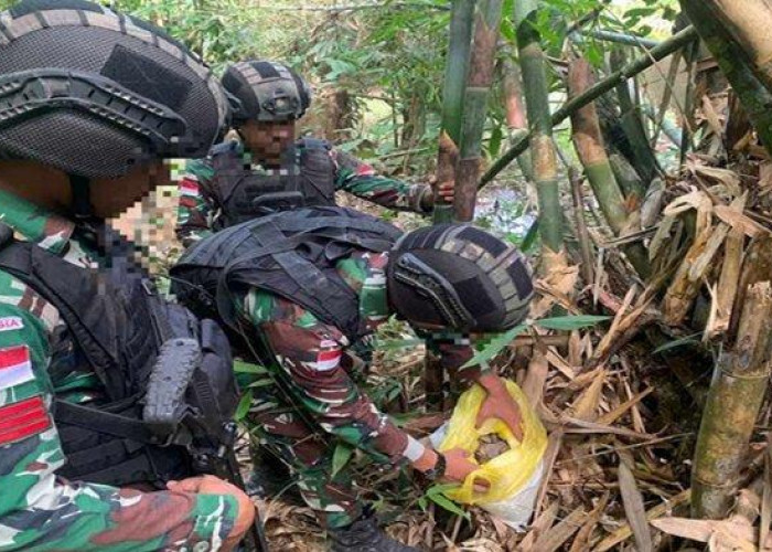 Satgas Pamtas RI-Malaysia Temukan 1 Kg Sisik Trenggiling Ilegal di Ketungau Hulu