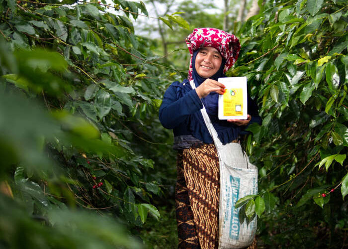 KOLTIVA dan Mitra Dukung Sugata Transformasi Rantai Pasok Kakao Berkelanjutan Gender-Carbon 