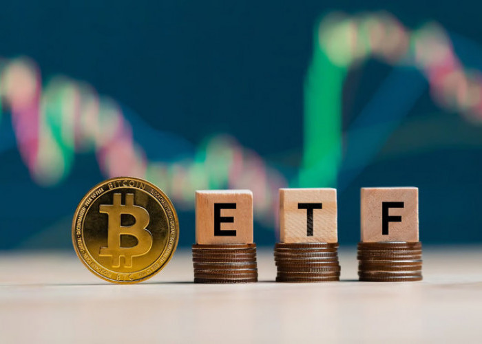 Perbandingan ETF Bitcoin dan ETF Ethereum, Mana yang Lebih Unggul?