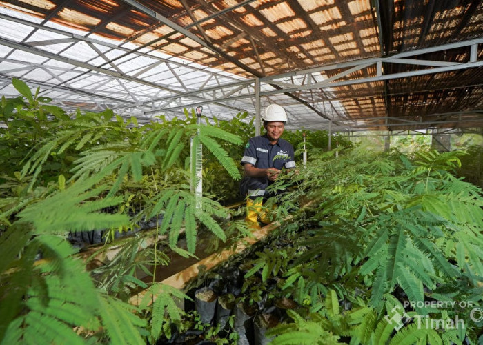 MIND ID Reklamasi 8.000 Ha dan Rehabilitasi DAS 37.700 Ha Perkuat Biodiversitas