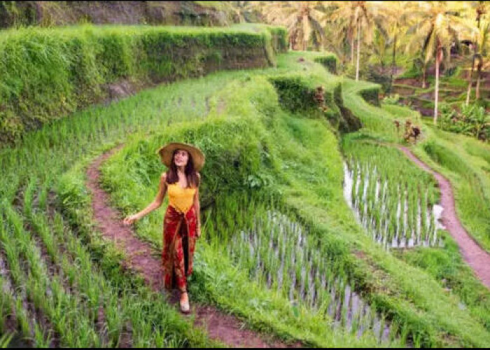 Bali Sun Tours Luncurkan Portofolio Pengalaman 2025 dan Pemesanan Langsung