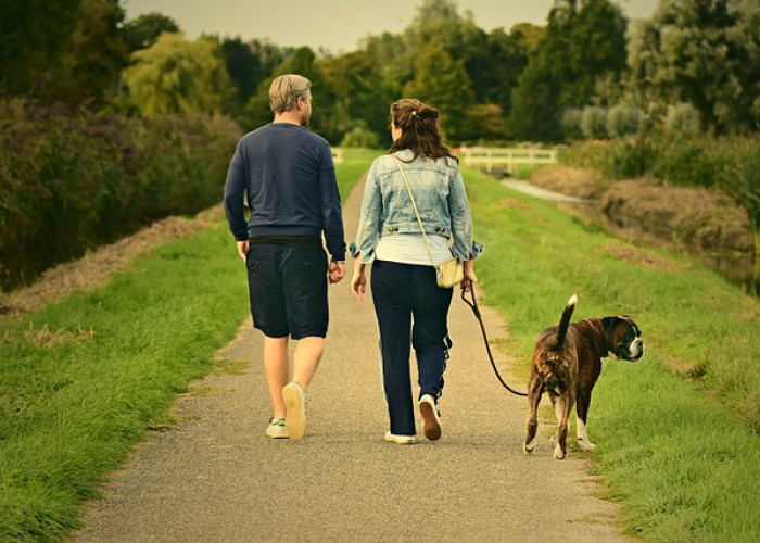 Manfaat Luar Biasa Bagi Kesehatan Saat Rutin Berjalan Kaki, Sederhana Tapi Manfaatnya Luar Biasa