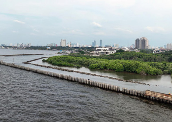 WSBP Pacu Suplai Spun Pile, Progres Proyek Pembangunan Tanggul Pengaman Pantai NCICD Paket 2 Tembus 69%