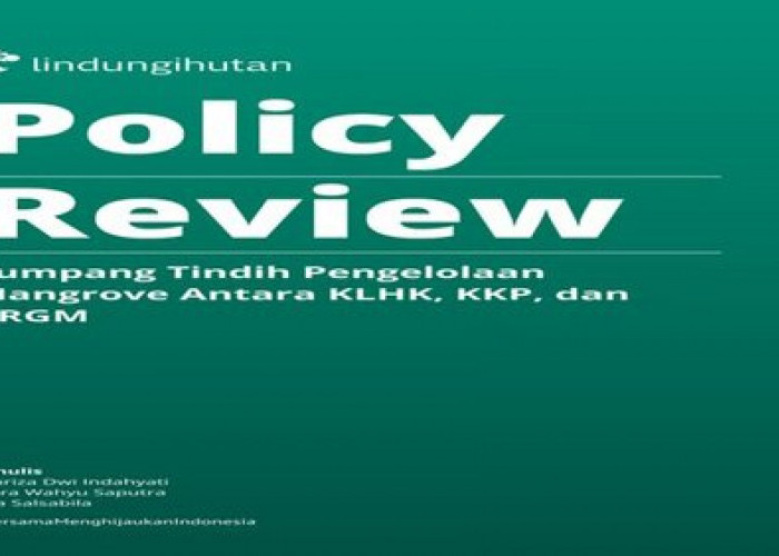 LindungiHutan Merilis Policy Review tentang Tumpang Tindih Pengelolaan Mangrove di Indonesia