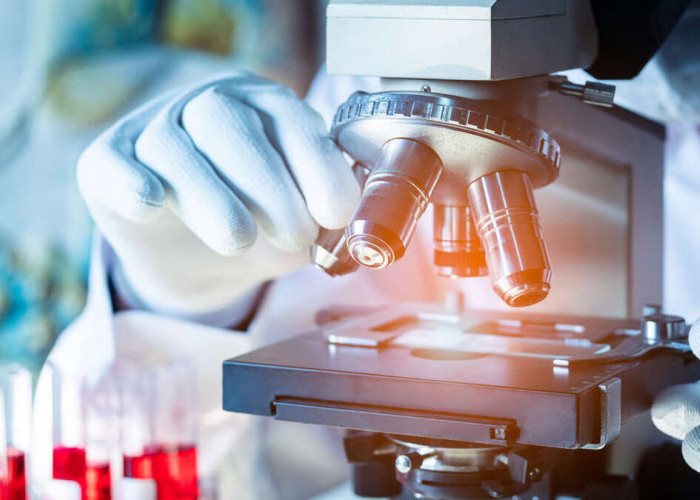 Prodia Hadirkan Advanced Lipid Profile dengan Report Komprehensif, Bantu Masyarakat Pahami Arti di Balik Angka