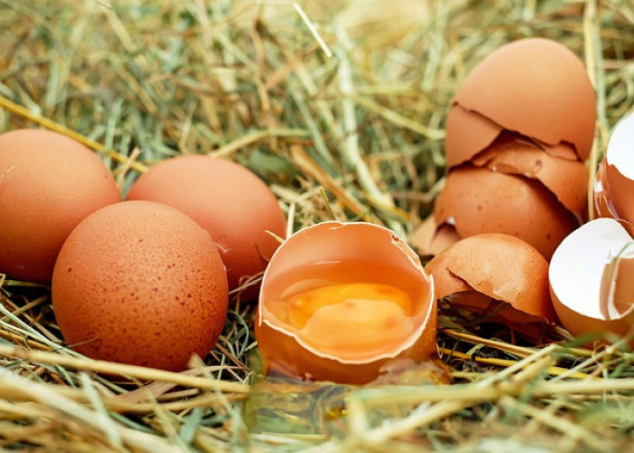 Rahasia Makanan untuk Rambut Kuat dan Hitam yang Mengesankan, Salah Satunya Telur yang Mudah Ditemui