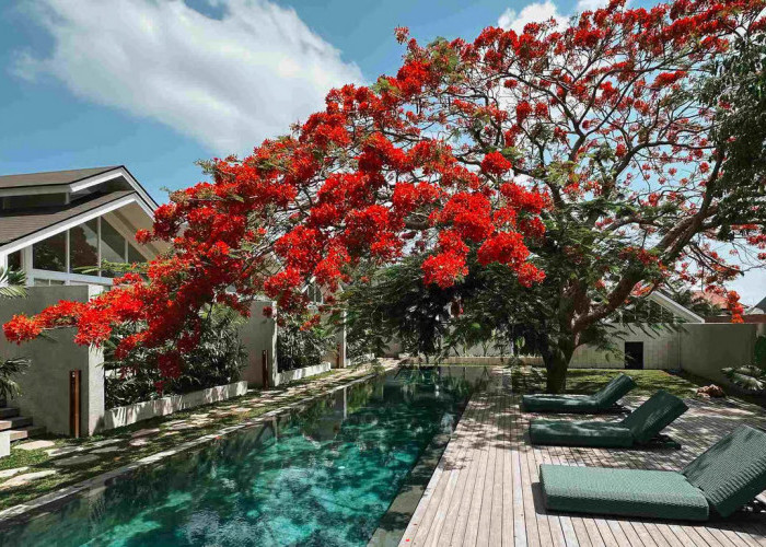 ASAI Village Jimbaran: Oase Wellness di Bali