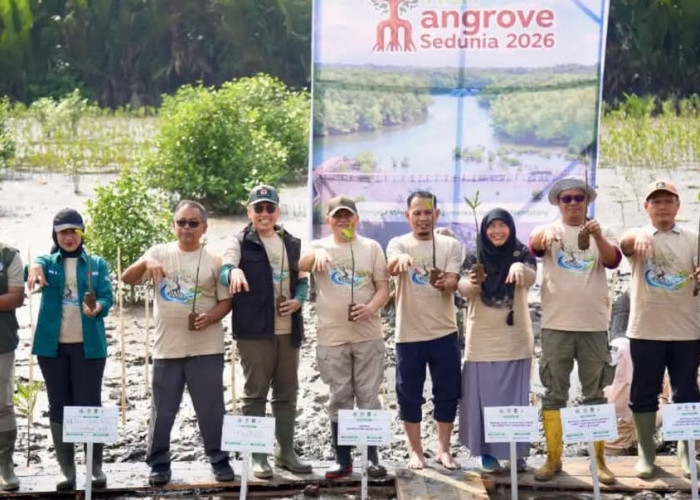 Pemkab Kubu Raya Larang Penebangan Mangrove, Genjot Revitalisasi dan Konservasi