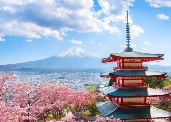 Bikin Visa Jepang Jadi Mudah Bersama GoVisa: Panduan Lengkap untuk Traveler Indonesia